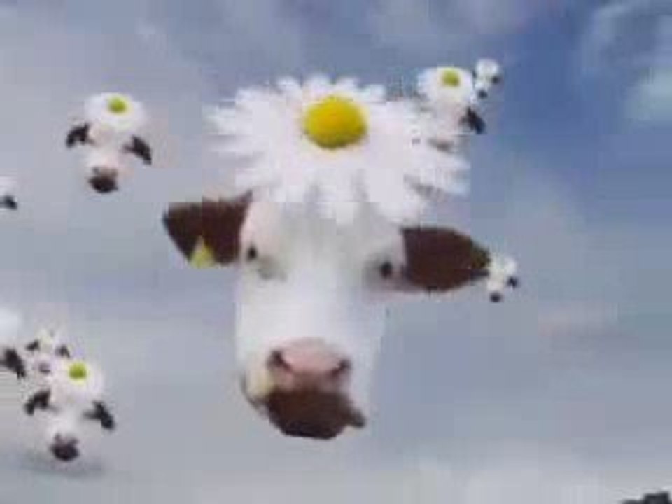 vache suisse VS neurotek