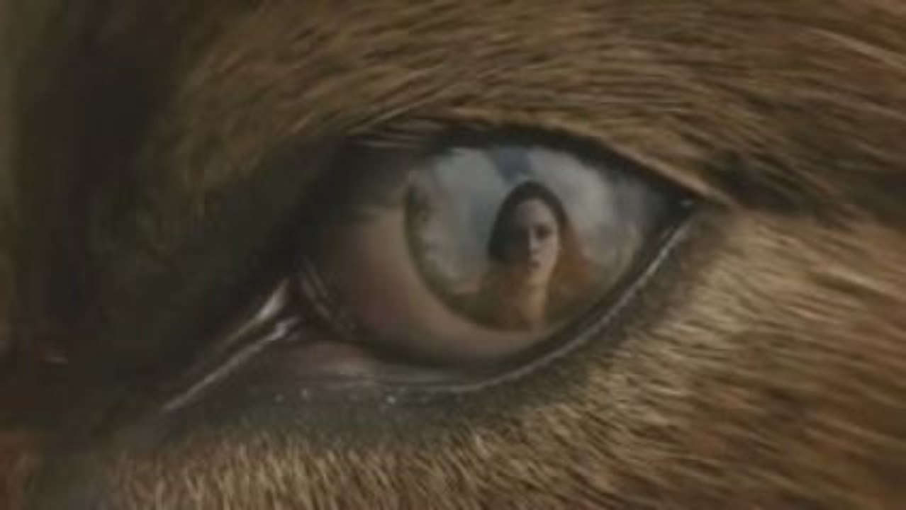 New Moon Spot TV n°1