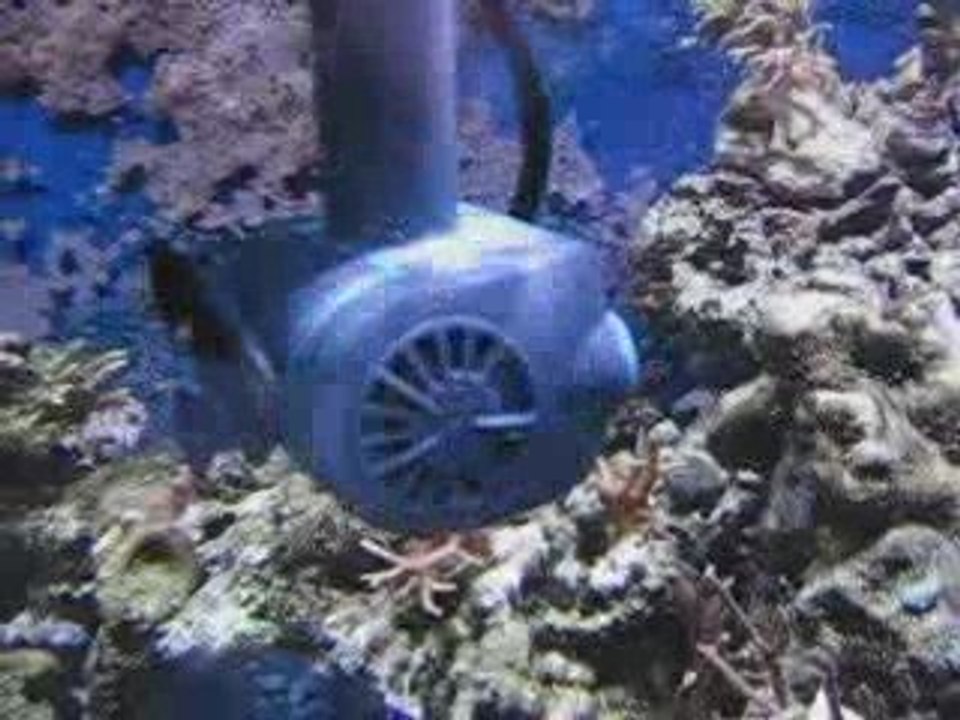 Oscillateur de pompe de brassage pour aquarium