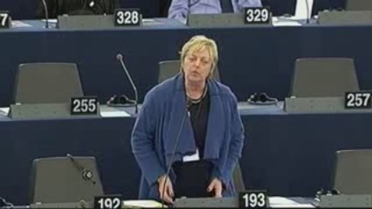 Annemie Neyts-Uyttebroeck on EU external action service