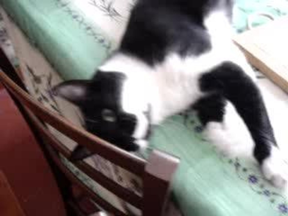 blinky