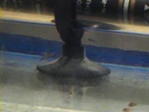 26 günlük melek yavruları