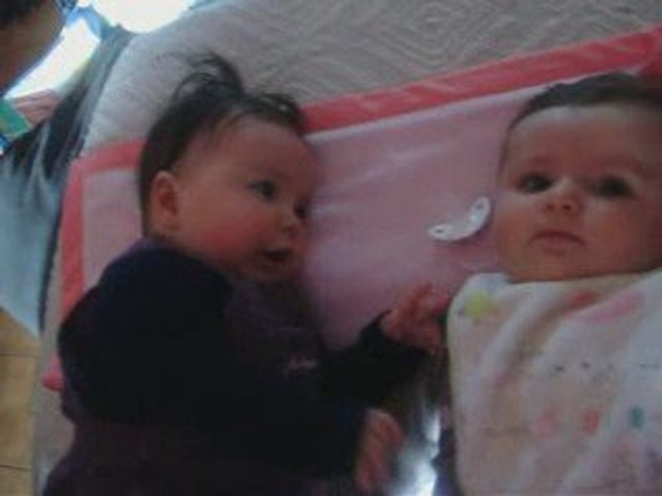 mes puces, toujours....