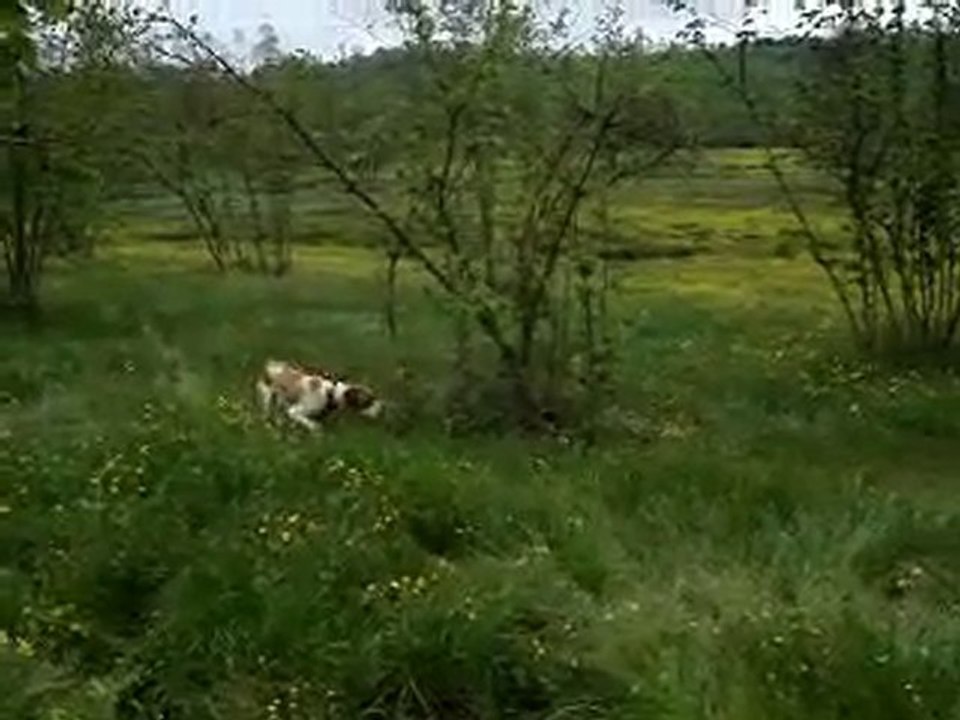 Gölçayır Köyü Avcıları -Ferma