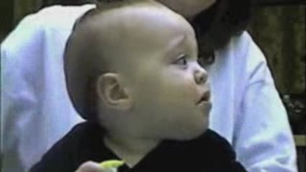 Term vs Whole Life Insurance