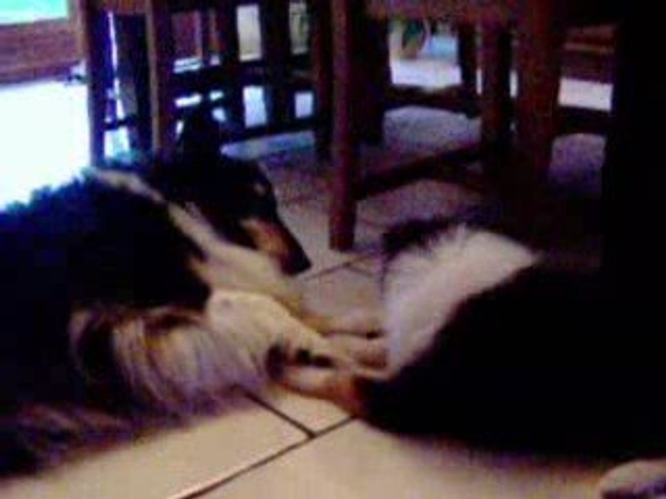 dory et texane