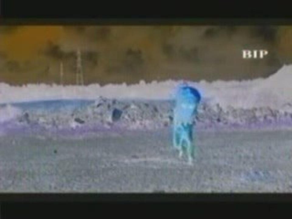 Opération Potager part2