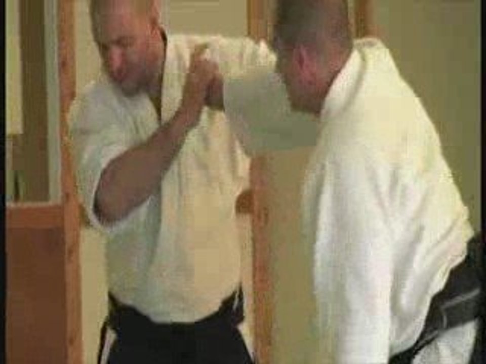 Aikido at the Toyoda Center with Germanov Sensei