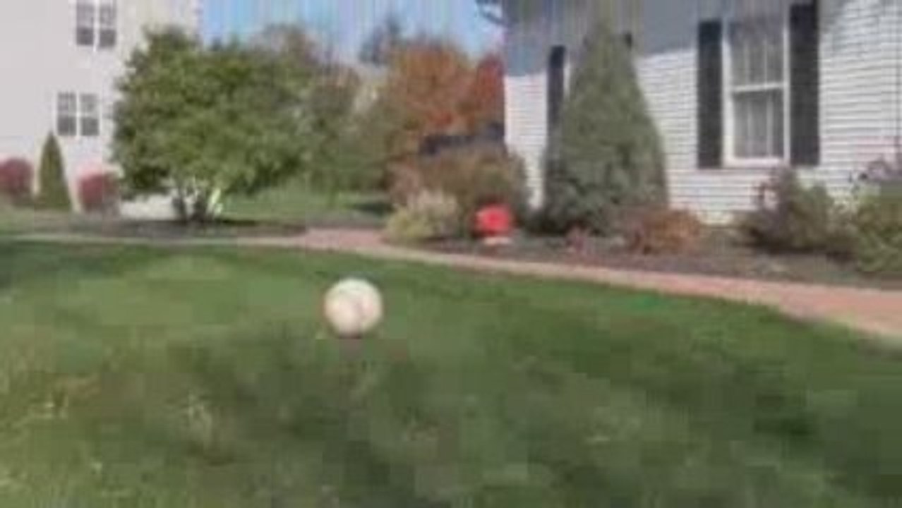 Landscape Insurance PA