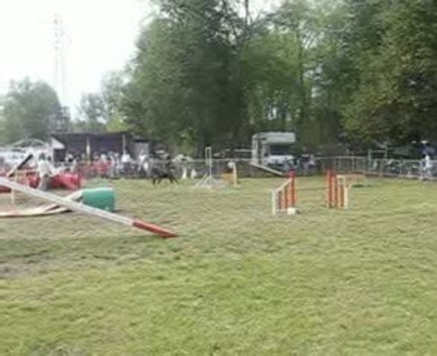 AGILITY BOURS. Rangoon de la Dullague