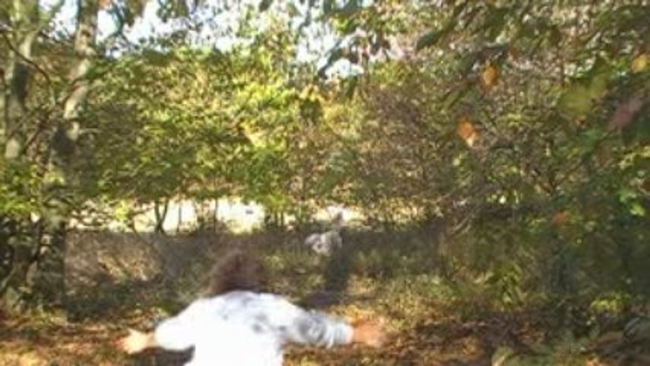 22 octobre 2009 daika 2
