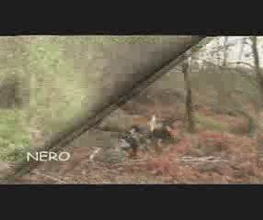 nero kali