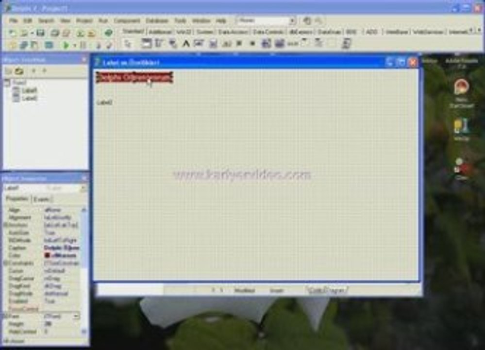 Delphi Label Kariyer Video Görsel Eğitim www.alintiyap.net
