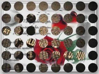 BiR Sevmek BiN Defa Ölmek Demekmiş