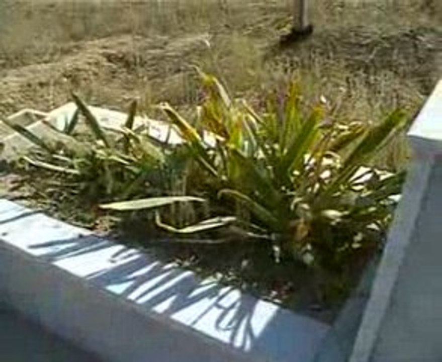 yenikent mezarlığı 2009