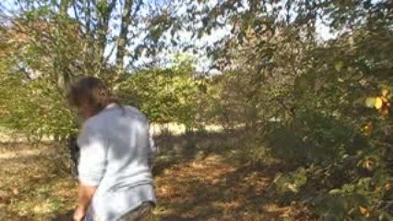 22 octobre 2009 canel2