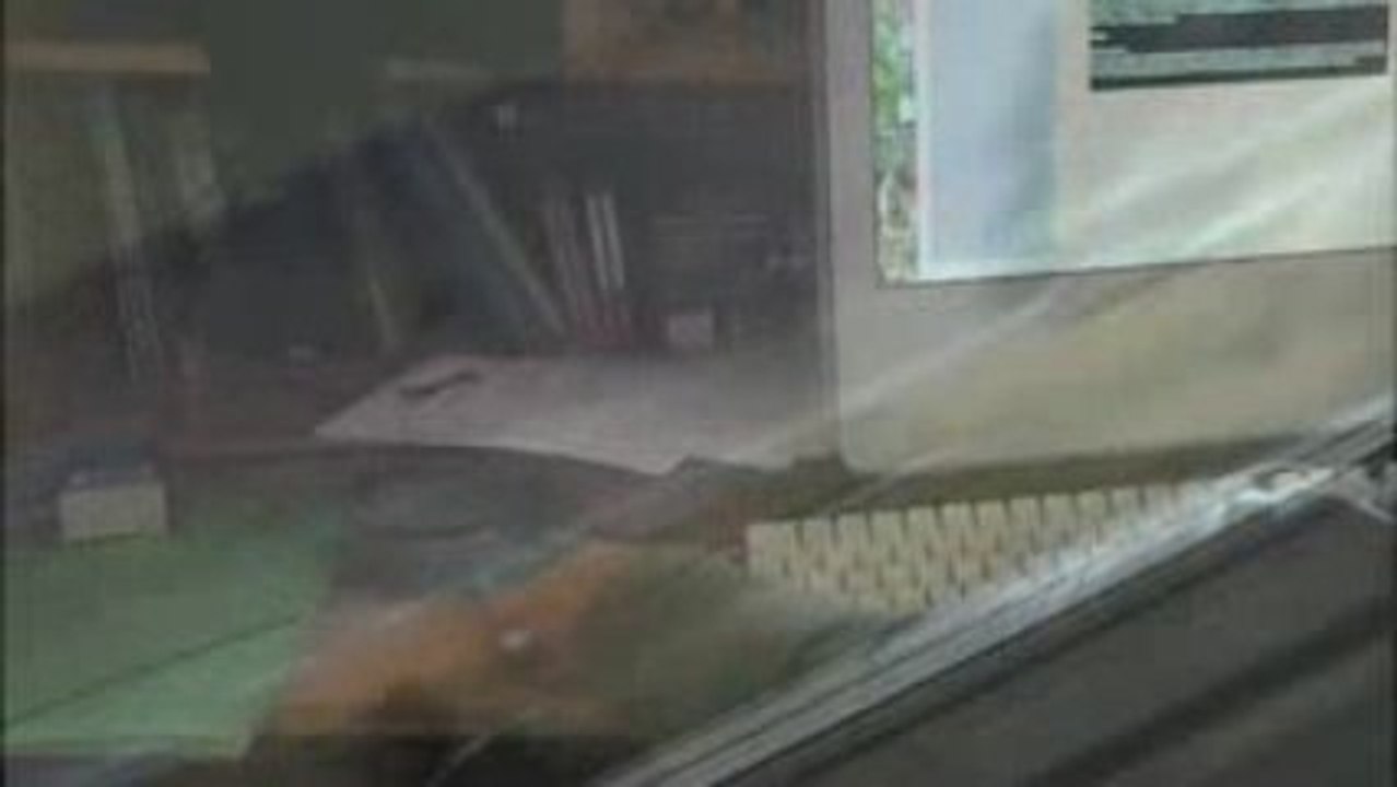 Lifeless Screens --G Lartigue