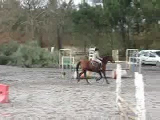 Mon Premier Concour De Saut