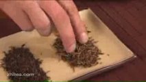 Black Tea Basics - What is Black Tea?