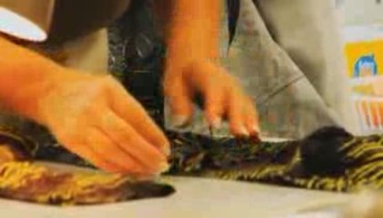 At the Heart of Degré 7 - Degré 7 Vêtements de ski