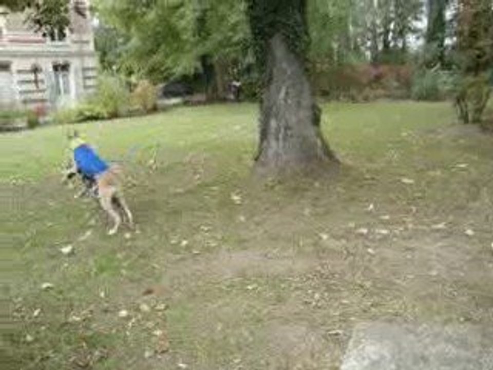 les BG sont de sortie :) superbibou et soldat minibibou