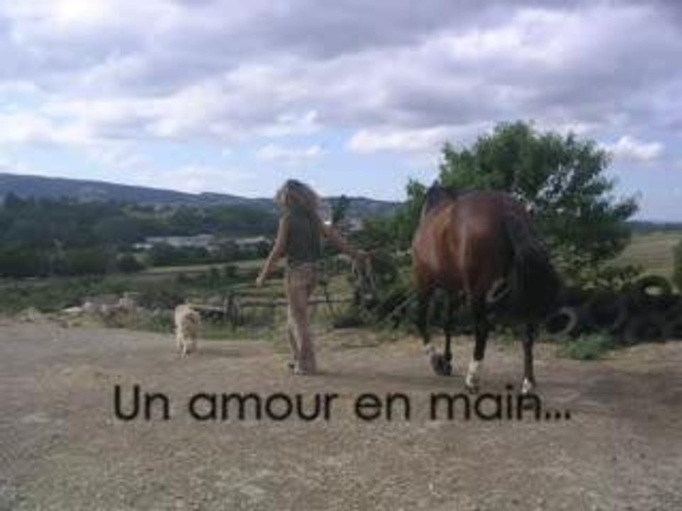 Fugue de Tzigane !