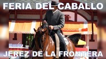 La feria de Jerez de la Frontera