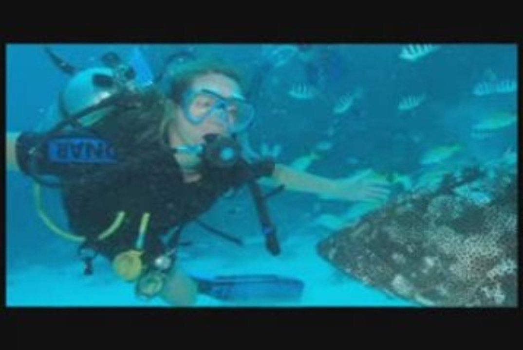 Lifepath Unlimited (Wendy Stevens) Lifepath Unlimted LPU 2