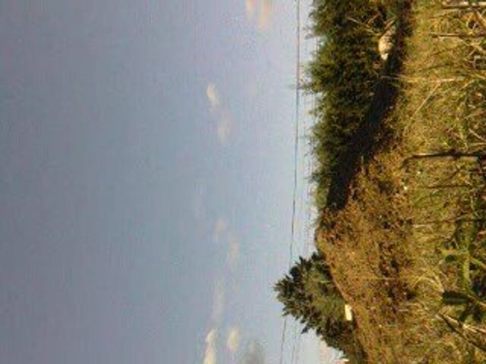 crash dirt