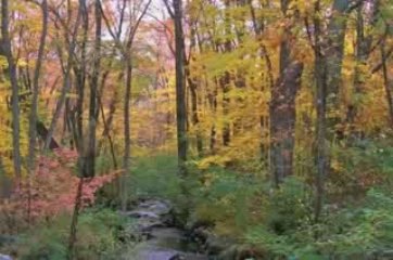 Fall Colors in New England