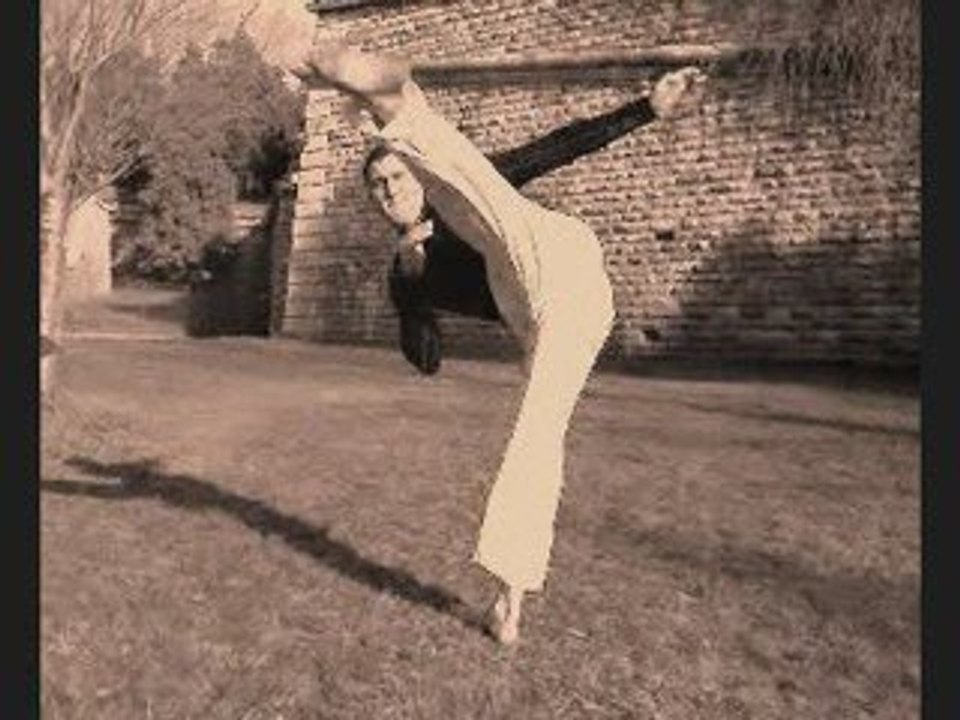 palito capoeira hiver
