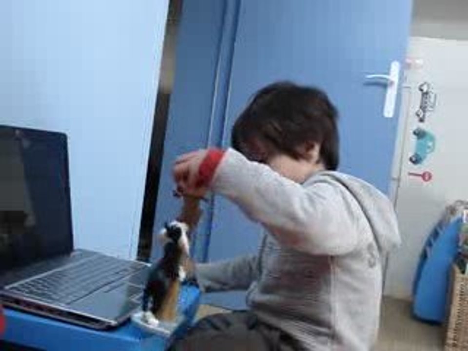 Zazar et la souris verte .