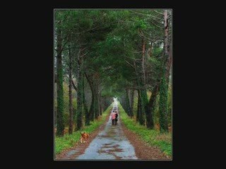 küçük onur yarınlar bizimle