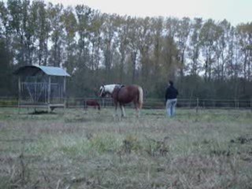 utha 1ere seance de LR