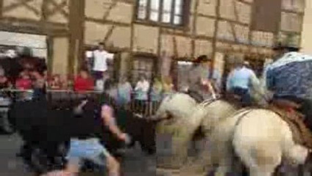 Feria de Marboz (Ain 01) [25/07/2009] - Abrivado part.2