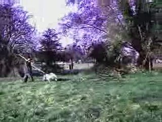 24h avec NONO saison 4!