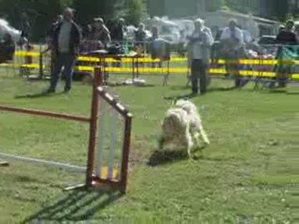 Maybe GPF Bonrepos 09