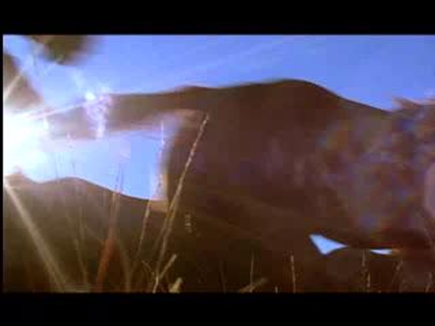 ⁣Broken Trail- Horses