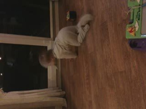 Je tourne en rond Je tourne en rond