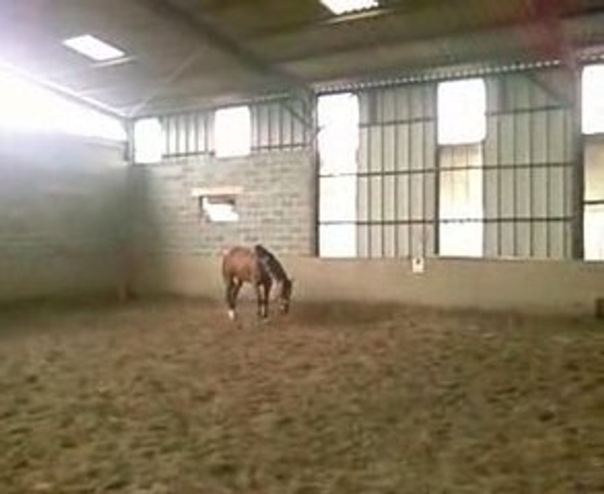 kaliffe <3