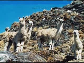 Welcome to Lares Trek