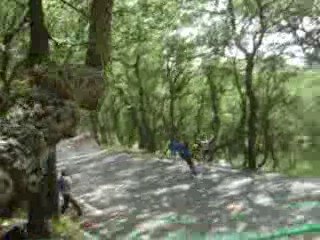 sorti de route BMW CC DE GASSIN 2008