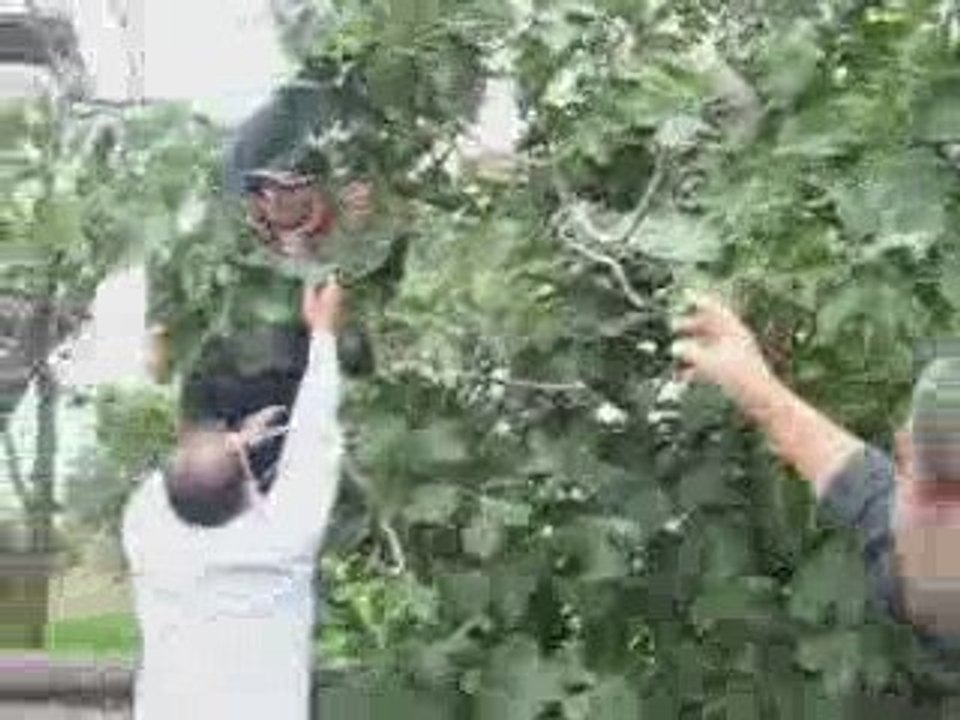 Bayburt Dağçatı Köyü Kültür ve Yardımlaşma Derneği