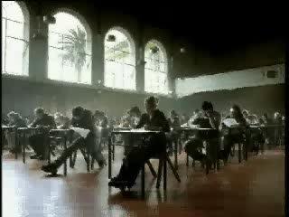 pub instant kiwi examen