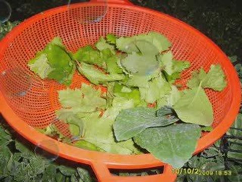 Slayt Reşit Kasap_Sardalya partisi vermiş Afiyet olsun