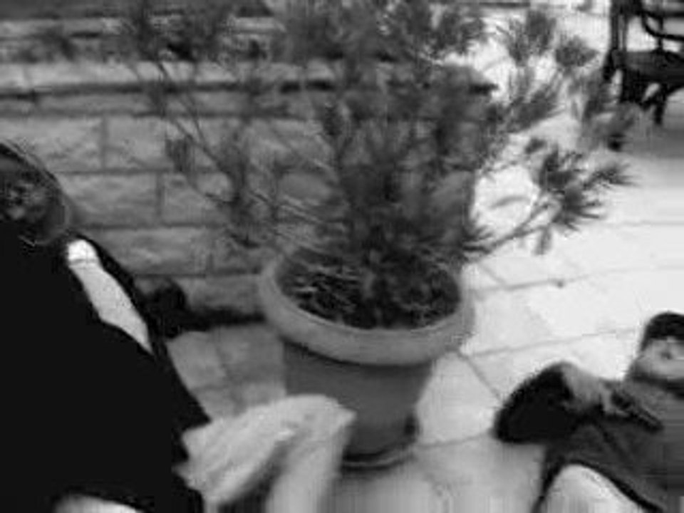 La Chambre Aux Coussins Verts Saison 6 Episode 7 part 2