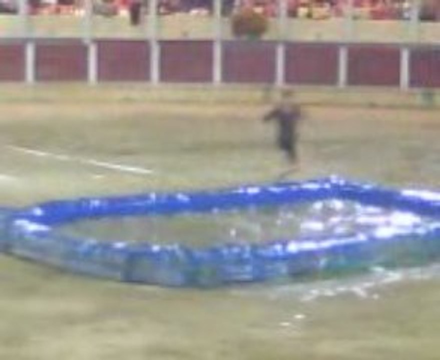 Croque vache à Parentis-en-Born