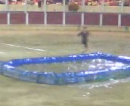 Croque vache à Parentis-en-Born