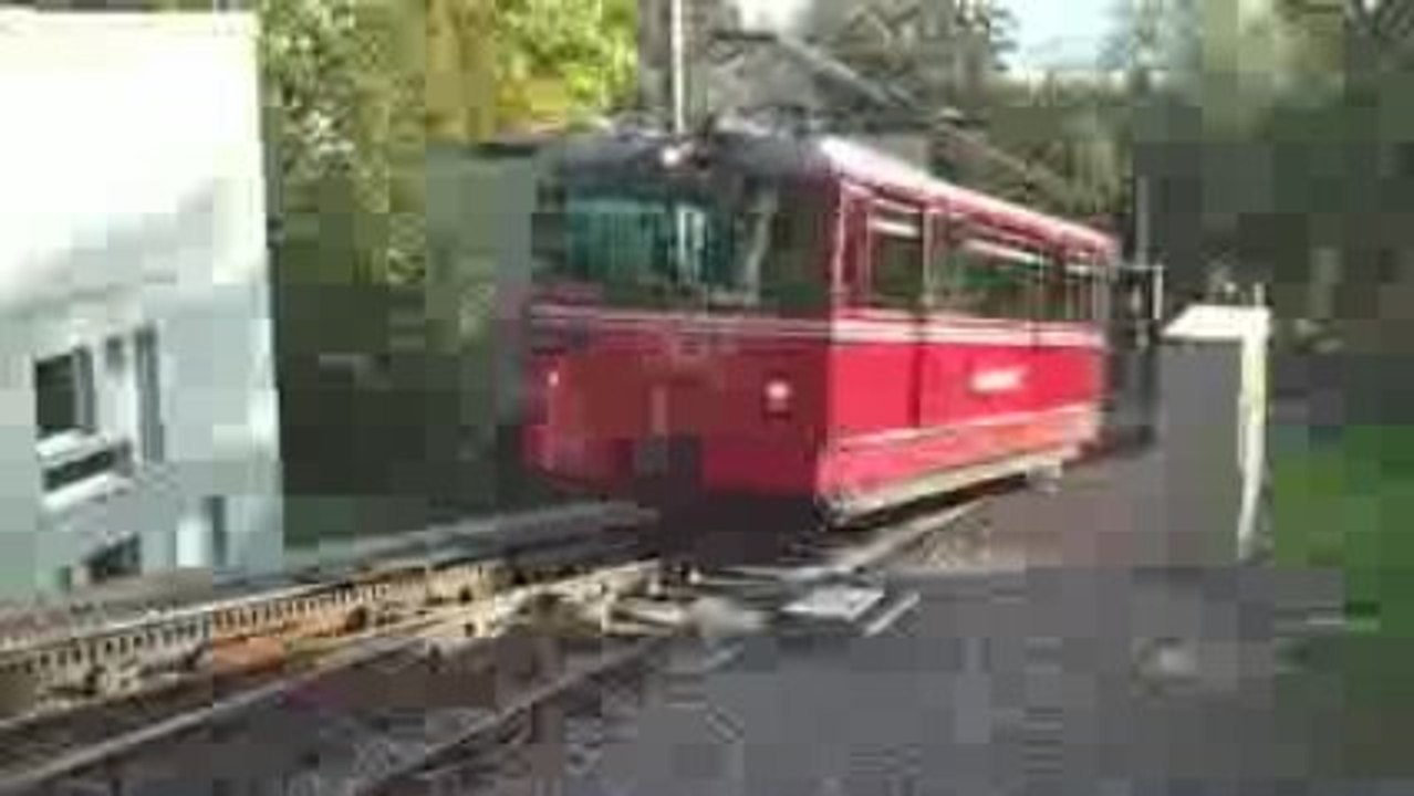 Dolderbahn - Aiguillage à crémaillère (2)