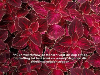 Yasser Al-Dosary - Ibraahiem 42-52 - ياسر الدوسري